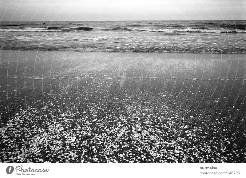 Das Rauschen hören Meer Strand Ostsee Wellen Wasser Salz Kochsalz Meerwasser Wind Kalk Flut Wassermassen Sand nass Geschmackssinn Horizont Usedom Darß Zingst