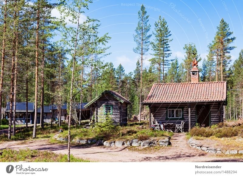 Nordeuropa harmonisch Sauna Ferien & Urlaub & Reisen Tourismus Sommer Natur Schönes Wetter Wald Haus Hütte Architektur Wege & Pfade Erholung Häusliches Leben
