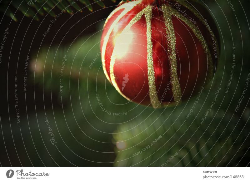 oh du glöckliche Christbaumkugel Weihnachten & Advent Christentum Tanne Baum rot Gold Weihnachtsfigur Weihnachtsmarkt Weihnachtsdekoration grün Nadelbaum