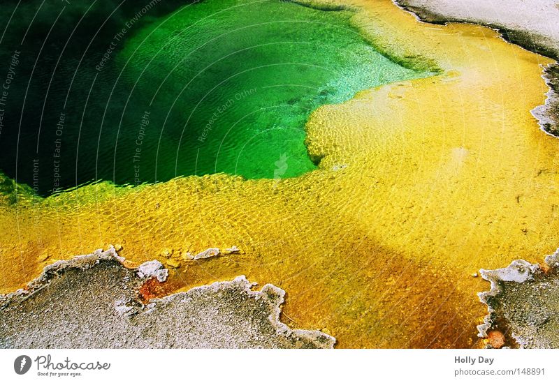 Grüne Wasser sind tief Schwimmbad Yellowstone Nationalpark USA Wyoming Montana Park Amerika gelb grün Algen Bakterien Am Rand mehrfarbig Farbe intensiv Geruch
