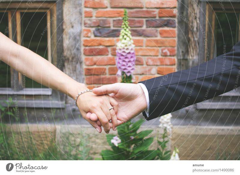 Brautpaar Hand in Hand Hochzeit Frau Erwachsene Mann Paar Partner Arme Finger Schmuck Ring Glück Lebensfreude Optimismus Mut Vertrauen Geborgenheit Einigkeit