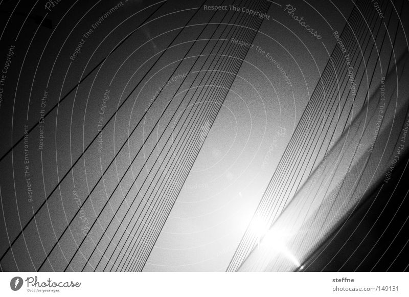 das tollste foto aller zeiten Sonne Brücke Linie schwarz weiß streben KFZ parallel Schwarzweißfoto abstrakt Strukturen & Formen Menschenleer Sonnenlicht