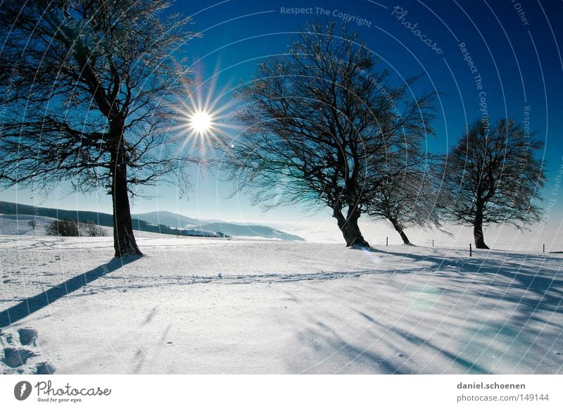 neue Weihnachtskarte 11 Sonnenuntergang Winter Schnee Schwarzwald weiß Tiefschnee wandern Freizeit & Hobby Ferien & Urlaub & Reisen Hintergrundbild Baum