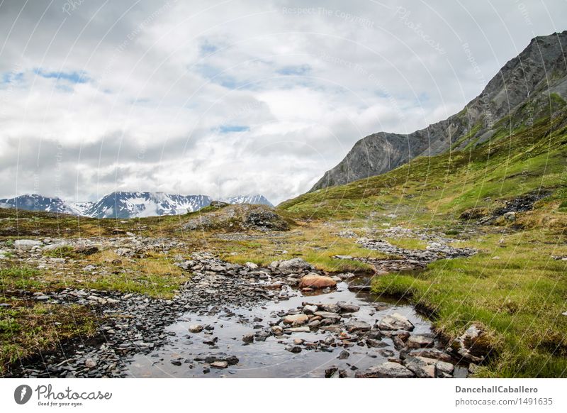 Wild Alaska Ferien & Urlaub & Reisen Tourismus Ferne Expedition Camping Berge u. Gebirge wandern Natur Landschaft Pflanze Wasser Himmel Wolken Frühling Sommer