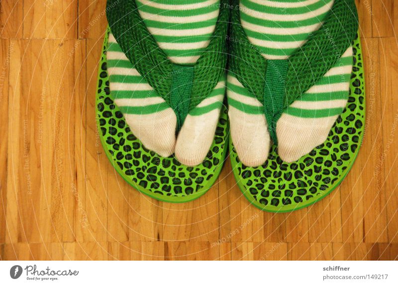 Gunsoku Japan falsch Ringelsocken Flipflops Punktmuster Muster Mode Japanisch Zehen Strümpfe grün Boden Parkett Vogelperspektive lustig spaßig Stil Streifen
