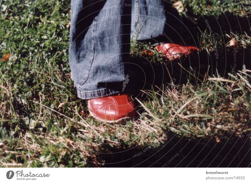 rote Schuhe Gras Mensch Fuß
