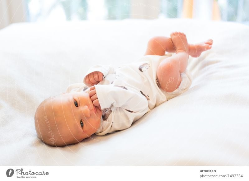 Happy Baby Gesicht Erholung Mensch maskulin 1 0-12 Monate fliegen weiß Vertrauen Warmherzigkeit Farbfoto Gedeckte Farben Innenaufnahme Studioaufnahme