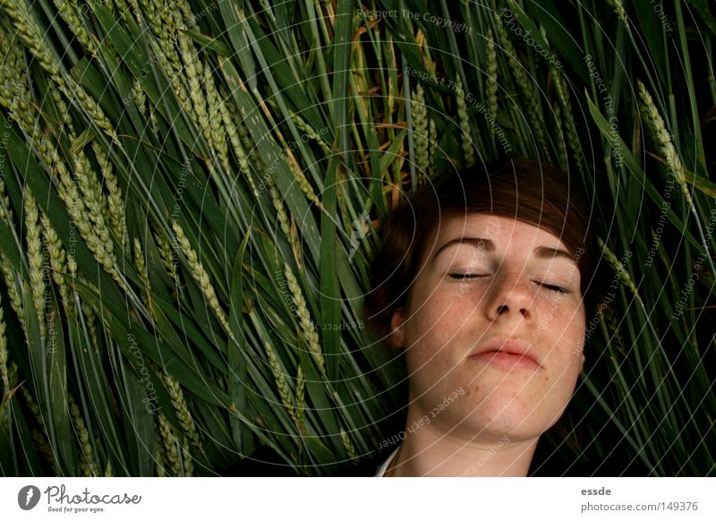 korngeflüster Farbfoto Textfreiraum links Tag Schatten Vogelperspektive Getreide Zufriedenheit Erholung Frau Erwachsene Natur Feld liegen schlafen Vertrauen