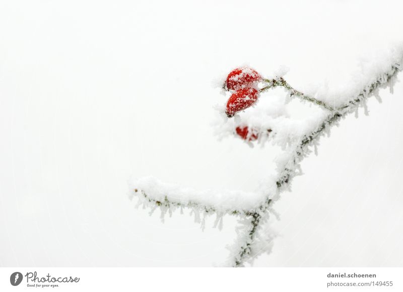 Schneeverwehung, schneewehe, schnee, geriffelt, winter, kalt, frost, kälte,  weiß, natur, riffelung Stock Photo - Alamy