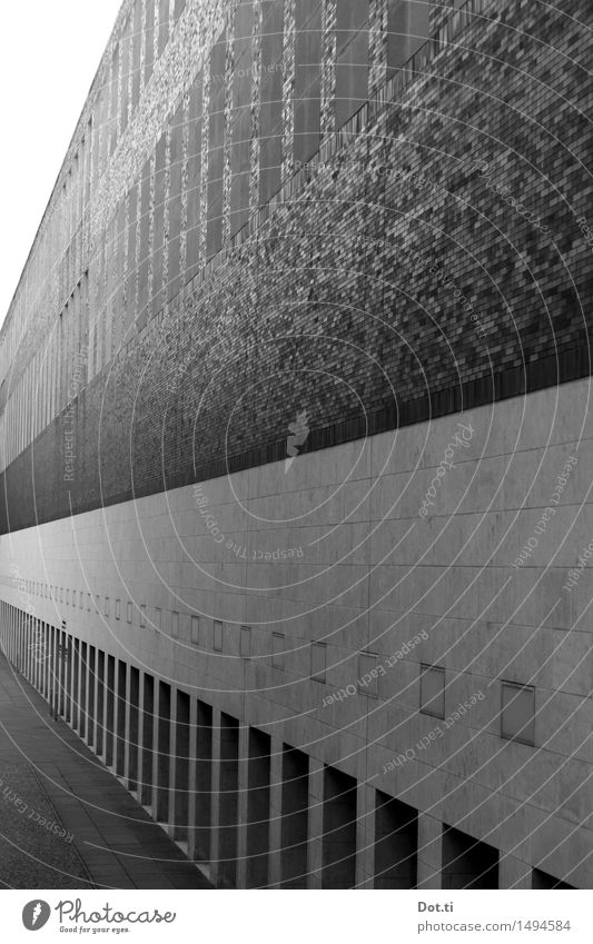 Fassade Stadt Menschenleer Haus Mauer Wand ästhetisch Symmetrie Architektur Fluchtpunkt Perspektive massiv Schwarzweißfoto Außenaufnahme Muster