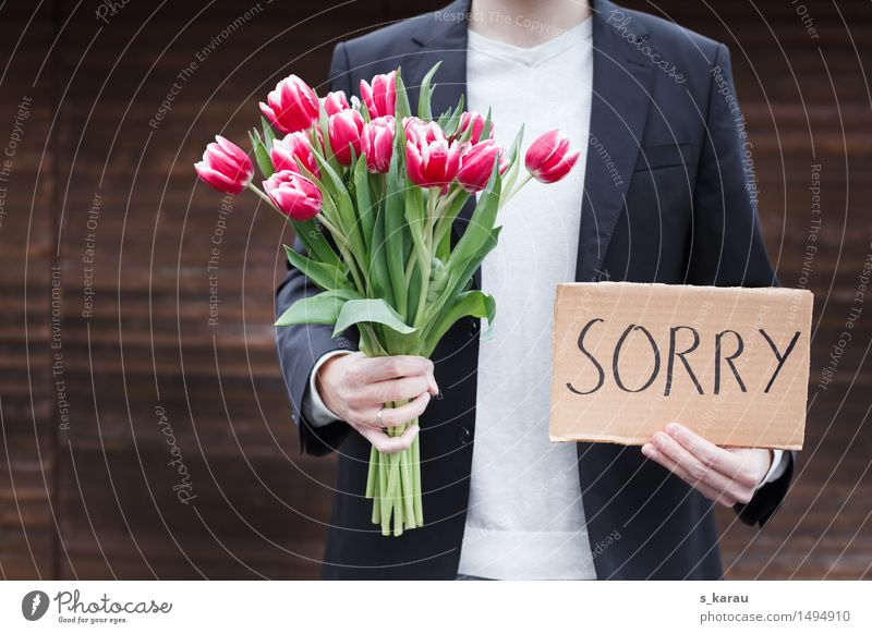 Entschuldigung Mensch maskulin Partner Leben Körper Hand 1 Blume Tulpe Papier Blumenstrauß Klischee Gefühle Laster Liebe Schmerz Enttäuschung Partnerschaft