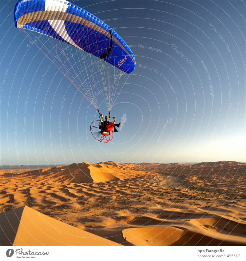 Flug in der Sahara Sport Natur Landschaft Luft Sonne Sommer Schönes Wetter Wärme Wüste Luftverkehr Fluggerät Sand fliegen sportlich außergewöhnlich frei