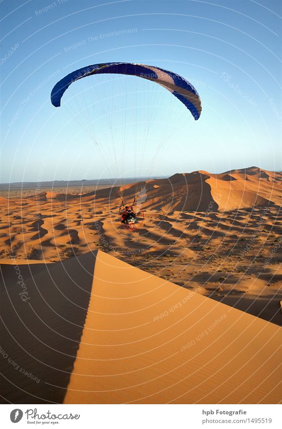 Flug in der Sahara Sport Luftverkehr Natur Landschaft Sand Wolkenloser Himmel Sommer Schönes Wetter Wärme Dürre Wüste Fluggerät Bewegung fliegen genießen