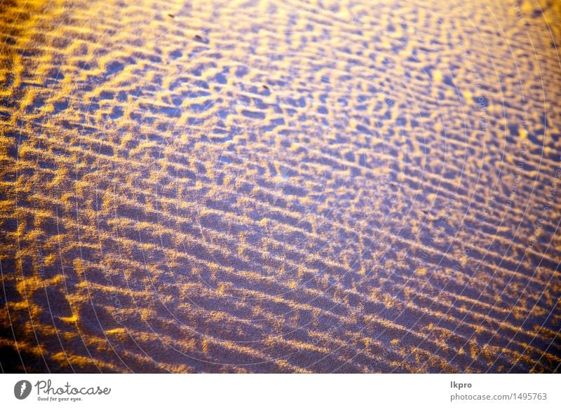 in der Sahara-Marokko-Wüste schön Ferien & Urlaub & Reisen Tapete Natur Landschaft Sand Schönes Wetter Urwald Hügel heiß blau braun gelb Einsamkeit Idylle wüst