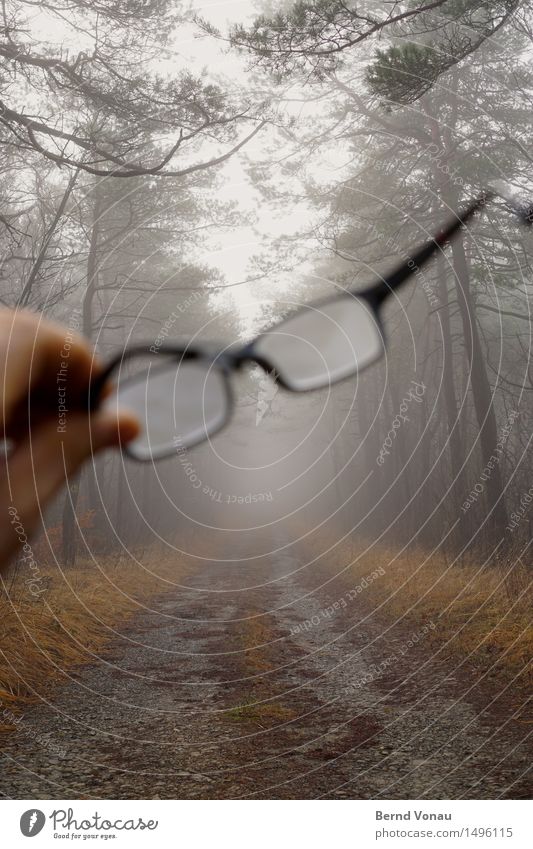 versehen Hand Gefühle Brille sichtverlust sichtbar haltend Fußweg Nebel Blick Baum Gras Herbst grau trüb Gestell Glas durchsichtig Kies Natur Spaziergang