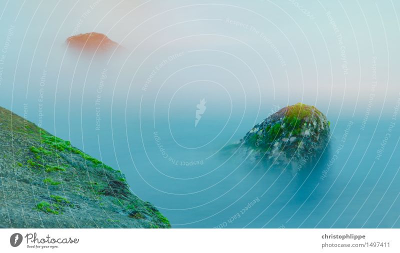 sleeping Giants Natur Wasser Nebel Moos Felsen Berge u. Gebirge Gipfel Wellen Küste Meer Calvi Korsika Europa Stein kalt Wärme Zufriedenheit Gelassenheit