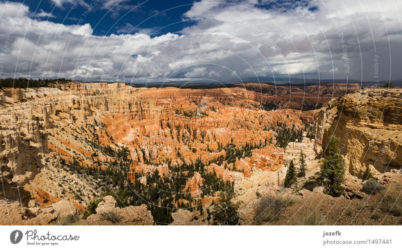 Inspirationspunkt Ferien & Urlaub & Reisen Tourismus Natur Landschaft Sommer Kiefer Schlucht Bryce Canyon wandern natürlich schön blau grün orange rot Farbfoto