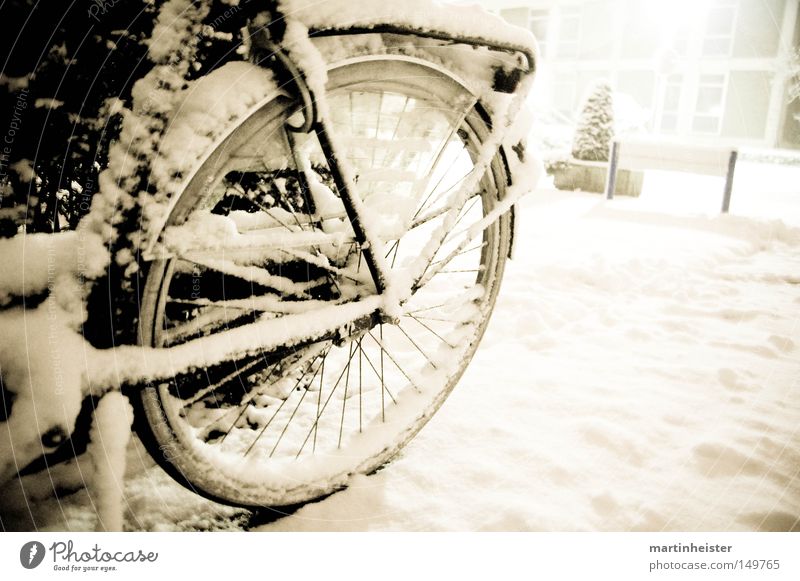 Rad im Schnee Fahrrad Winter Schneeflocke Schneefall kalt ruhig Unwetter zurückziehen Speichen Eis