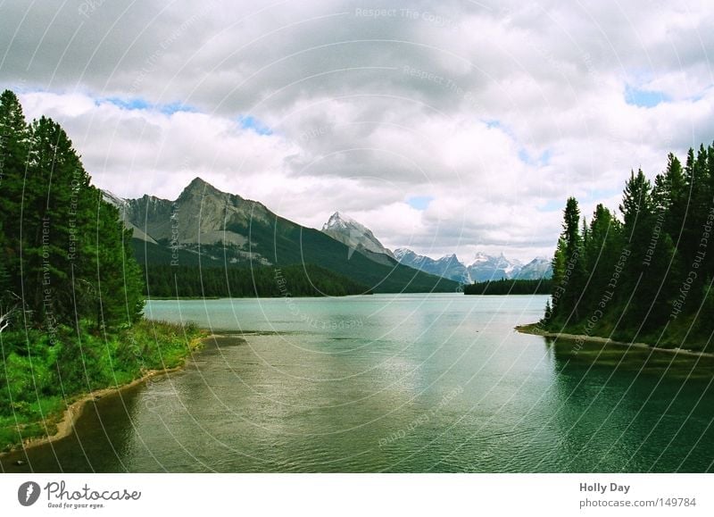 Abfluss See Wald Baum Oberfläche Glätte Reflexion & Spiegelung Wolken Berge u. Gebirge Rocky Mountains Kanada Maligne Lake Nordamerika Nationalpark träumen