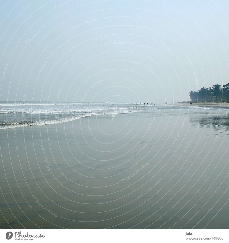 lonely expanse Einsamkeit Horizont Ferne Panorama (Aussicht) Wasser Meer Strand Palme Sommer Ferien & Urlaub & Reisen ruhig Frieden Reisefotografie Indien Goa