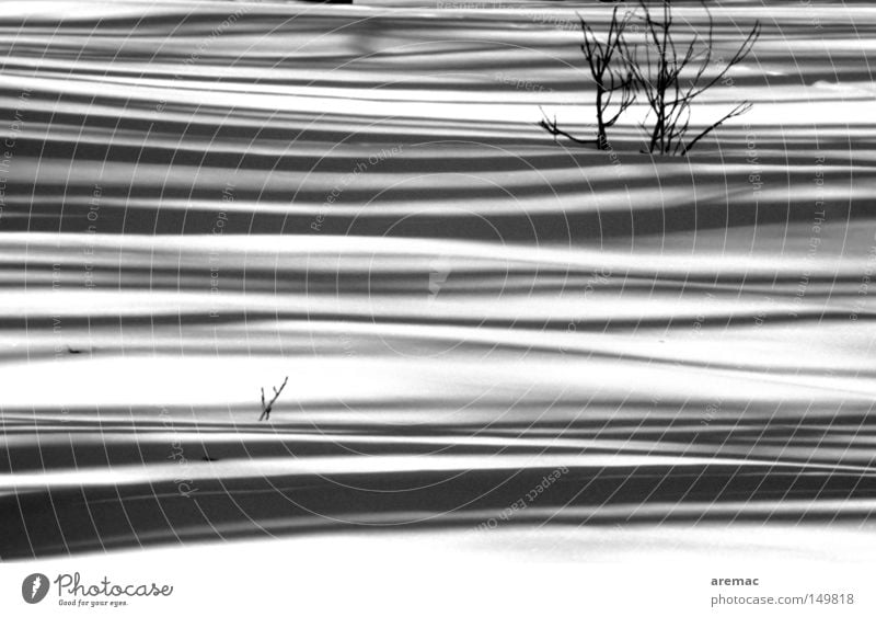 Schattenspiel Schnee Winter kalt weiß schwarz abstrakt Landschaft Schwarzweißfoto