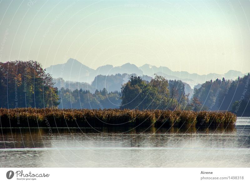stiller See Ferien & Urlaub & Reisen Tourismus Ausflug Landschaft Wasser Himmel Herbst Baum Schilfrohr Wasserpflanze Herbstlaub Alpen Berge u. Gebirge