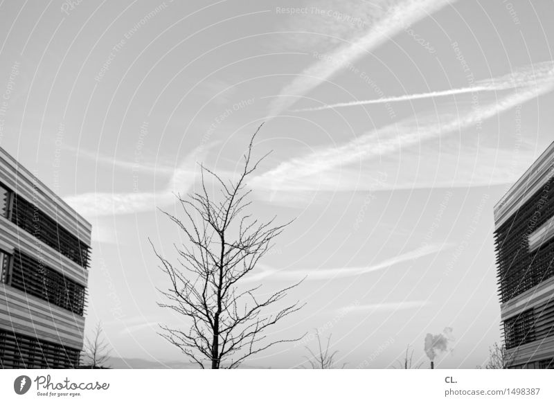 FH Umwelt Natur Himmel Wolken Herbst Winter Wetter Schönes Wetter Baum Düsseldorf Hochhaus Gebäude Architektur Fassade Schornstein Fachhochschule
