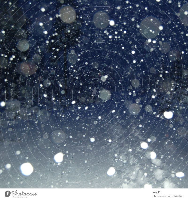 kurz vor knapp ... Nacht Schneeflocke Schneefall Flocke Kristallstrukturen Kristalle dunkel Wege & Pfade Winter weiß blau Ende Tag Baum kalt Himmel Stimmung