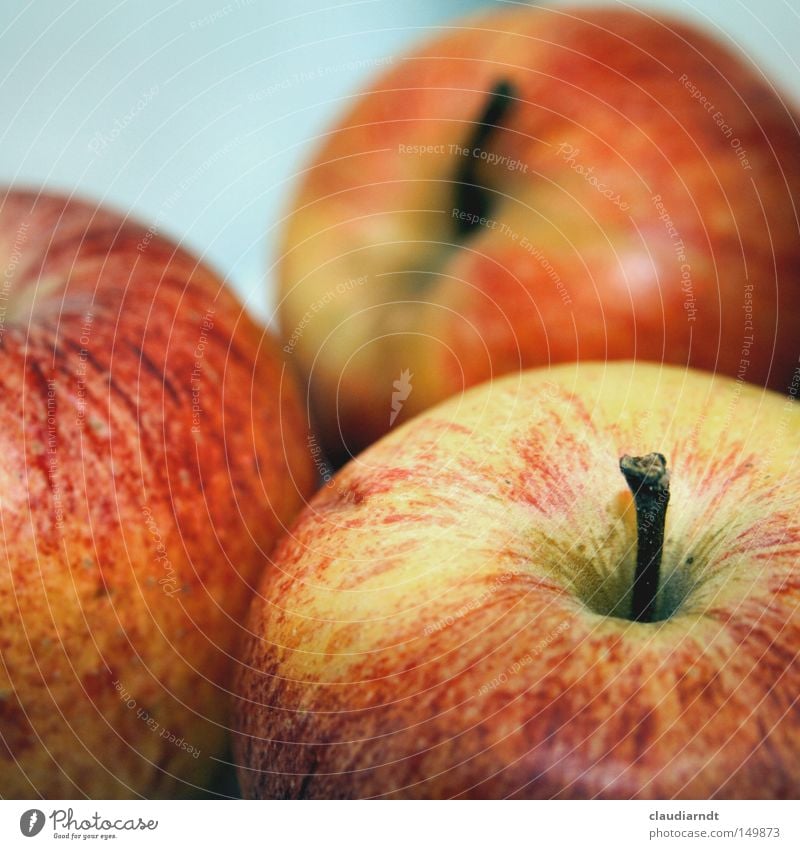 veräppelt Apfel Frucht Gesundheit Vitamin Ballaststoff rot Vegetarische Ernährung Bioprodukte biologisch Biologische Landwirtschaft ökologisch reif lecker