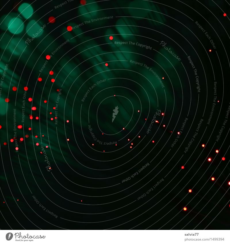 Lichtpunkte Energiewirtschaft Raumfahrt leuchten grün rot Design Kunst skurril Lichterscheinung Technik & Technologie Weltall Glasfaserlampe abstrakt