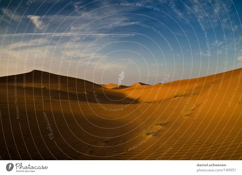 zum aufwärmen Wüste Sand Dubai Oman Vereinigte Arabische Emirate Arabien Düne rot gelb blau Himmel trocken Wärme Wind Umwelt Klima Ferien & Urlaub & Reisen
