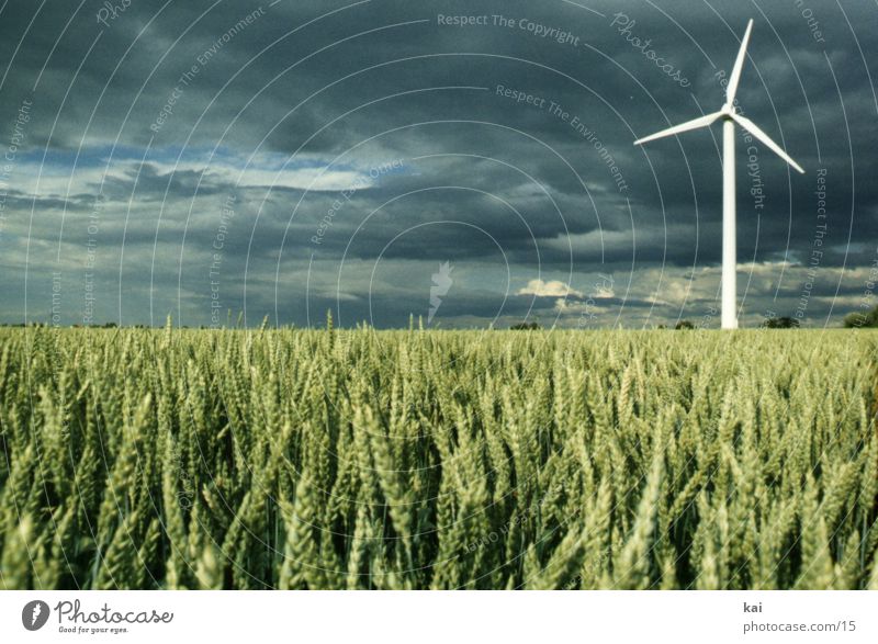Windrad02 Wolken Feld Windkraftanlage Natur Himmel Getreide Getreidefeld Landwirtschaft Ferne Ähren