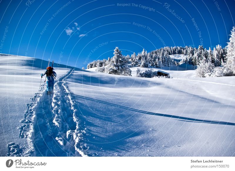 Aufstieg zum Gipfel Österreich Winter Berge u. Gebirge Schneelandschaft Bundesland Tirol Tiefschnee Winterwald Dorf serfaus Skiort Winterdorf unberührt Natur