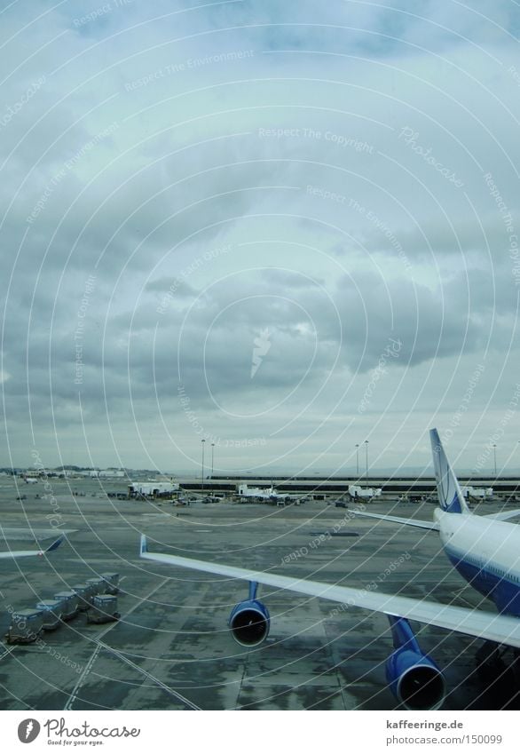 SFO International Airport San Francisco Kalifornien USA Flugzeug Himmel Wolken grau blau kalt Rollfeld Flughafen Gate