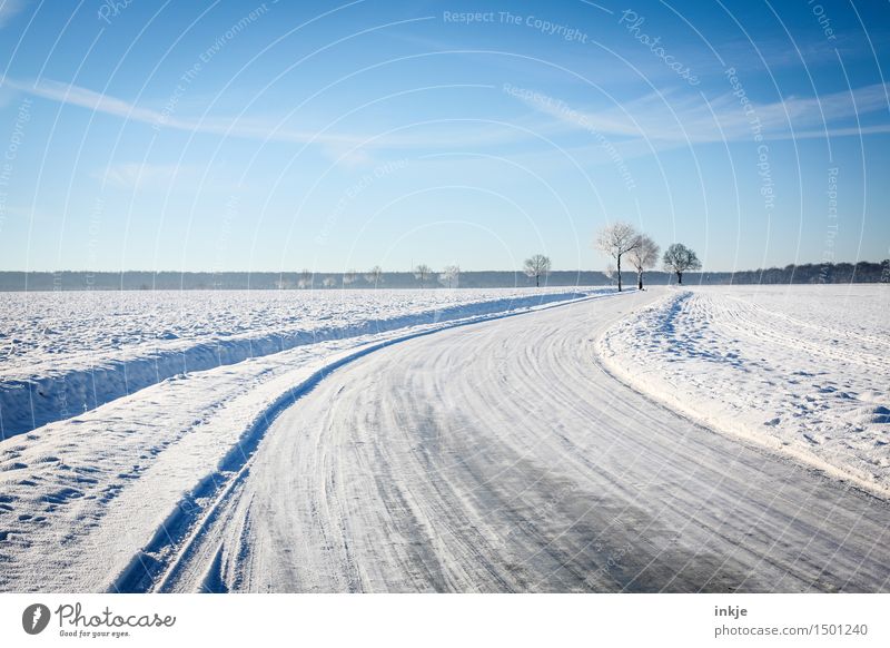 zu Fuß gehts weiter Umwelt Natur Landschaft Urelemente Himmel Wolkenloser Himmel Winter Klima Schönes Wetter Eis Frost Schnee Baum Feld Feldrand Verkehr