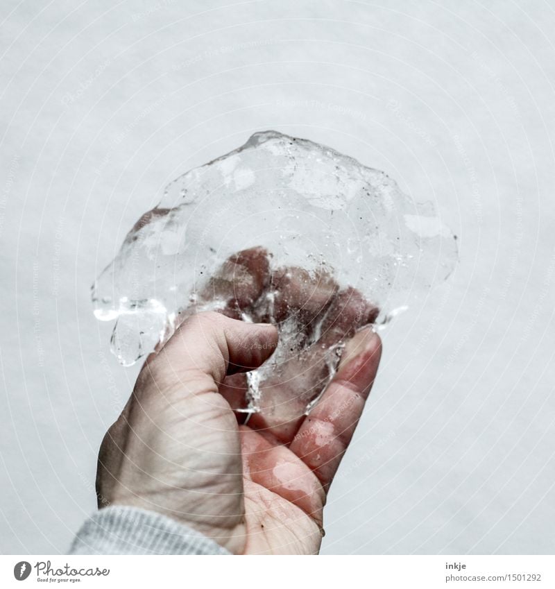 Eis Lifestyle Freizeit & Hobby Hand Urelemente Winter Frost Eisscholle festhalten dreckig kalt nass tauen gefroren zeigen Vor hellem Hintergrund Farbfoto