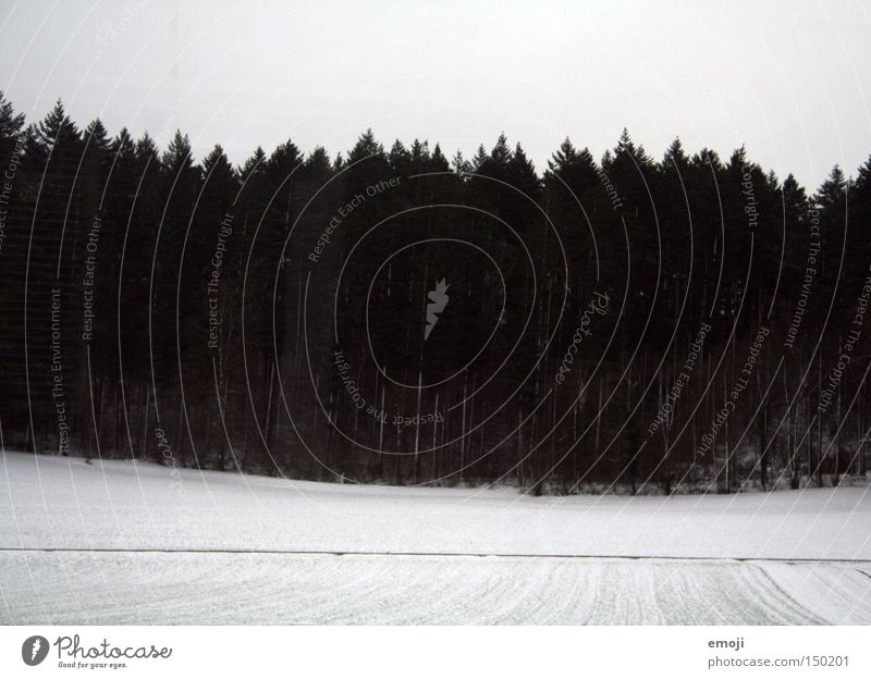 schwarzweiss II weiß Eisenbahn Bahnfahren Wald Baum Reflexion & Spiegelung Natur Pflanze Fenster Schnee Winter trist Feld zugfahren