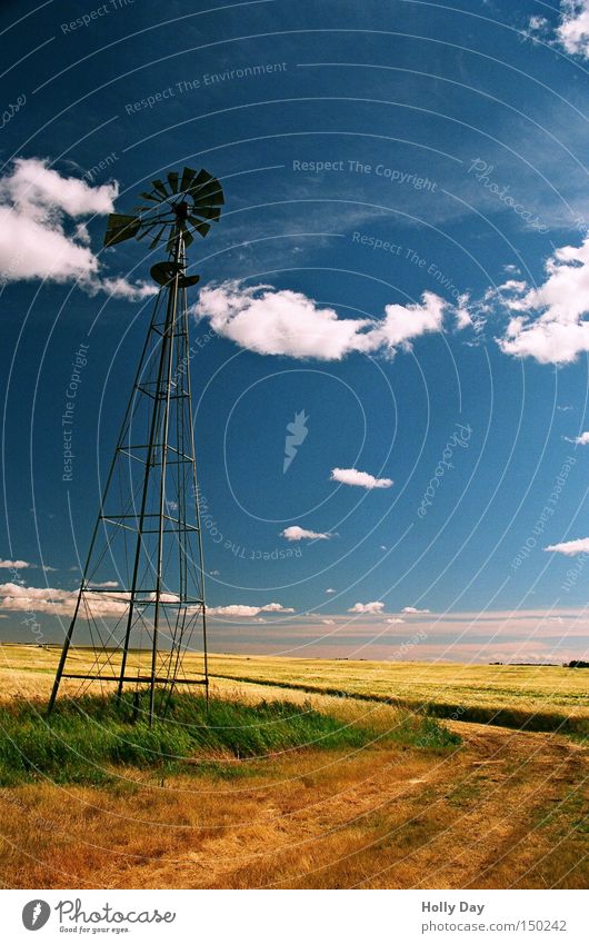Alternative Energie Windkraftanlage Feld Ernte Wolken Ferien & Urlaub & Reisen blau Wege & Pfade Landwirtschaft Bauernhof Windmühle filigran Alberta Kanada