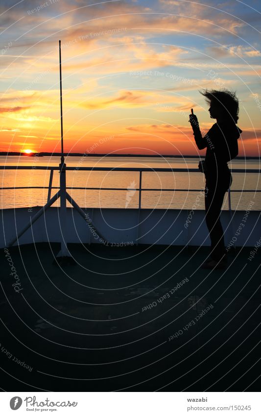 Sehnsucht Sonnenuntergang schön Gefühle Skandinavien Kreuzfahrt Information Meer Telefon Mobilität Himmel Wolken episch Behaarung