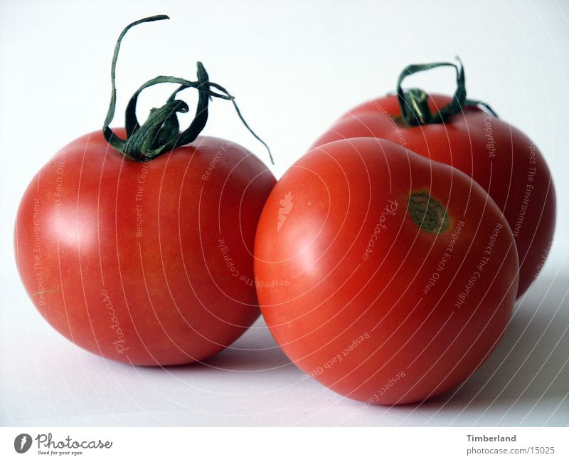 Tomaten 3 rot weiß Ernährung Gemüse Vor hellem Hintergrund
