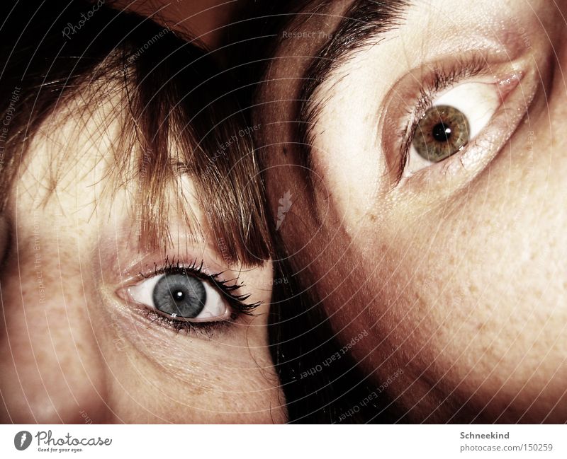 Auge um Auge Paar blau braun Gesicht Hälfte Augenbraue Wimpern Frau Mann Schatten Freude Vertrauen Detailaufnahme