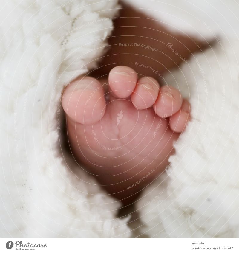 neugeboren Mensch Kind Baby Kleinkind Fuß 1 0-12 Monate Gefühle Stimmung Liebe Zehen zart Mutterliebe Nachkommen Geburt klein Farbfoto Innenaufnahme Nahaufnahme