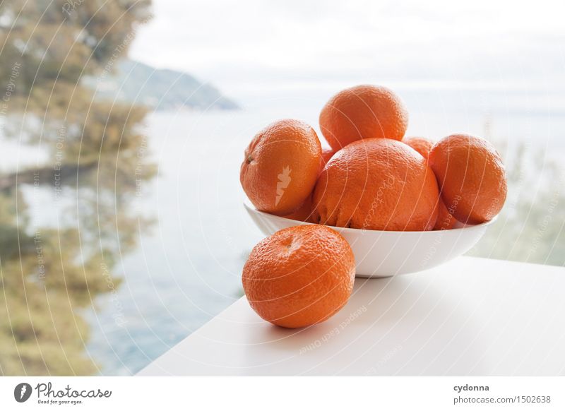 Obsttag Lebensmittel Frucht Orange Ernährung Bioprodukte Vegetarische Ernährung Gesundheit Gesunde Ernährung Ferien & Urlaub & Reisen Sommerurlaub Tisch Meer