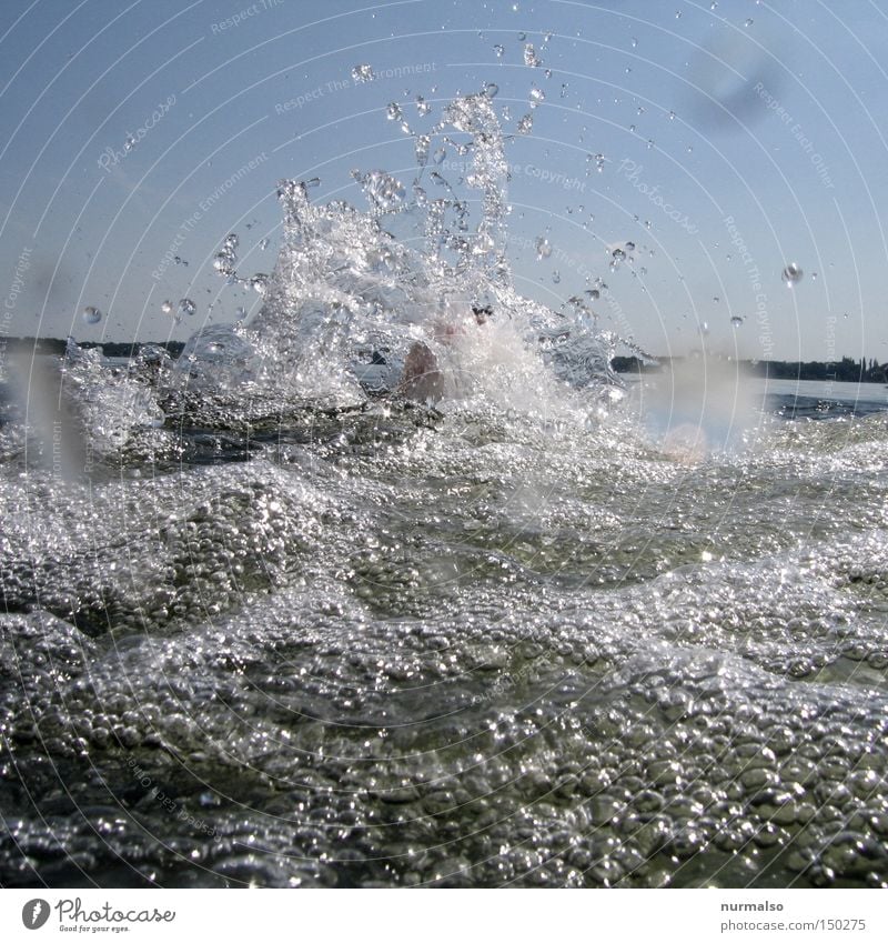 Platsch! Wasser springen spritzen Wassertropfen nass Sommer Sprungbrett See Freude Brandenburg Erfrischung Schwimmen & Baden Badehose Freizeit & Hobby