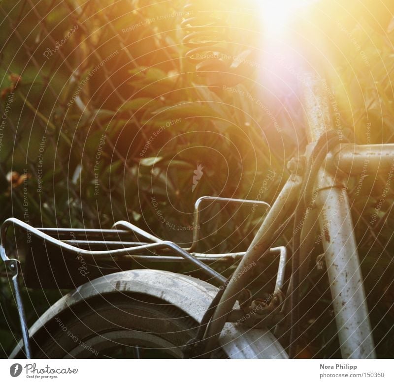 Der leuchtende Sattel Fahrrad Licht Sonne Fahrradsattel Gegenlicht alt Lampe Beleuchtung Rad Detailaufnahme retro Freizeit & Hobby Gepäckträger