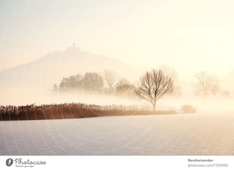 Kalt.... Ausflug Winter Natur Landschaft Sonnenaufgang Sonnenuntergang Klima Schönes Wetter Nebel Eis Frost Schnee Baum See Burg oder Schloss Freundlichkeit