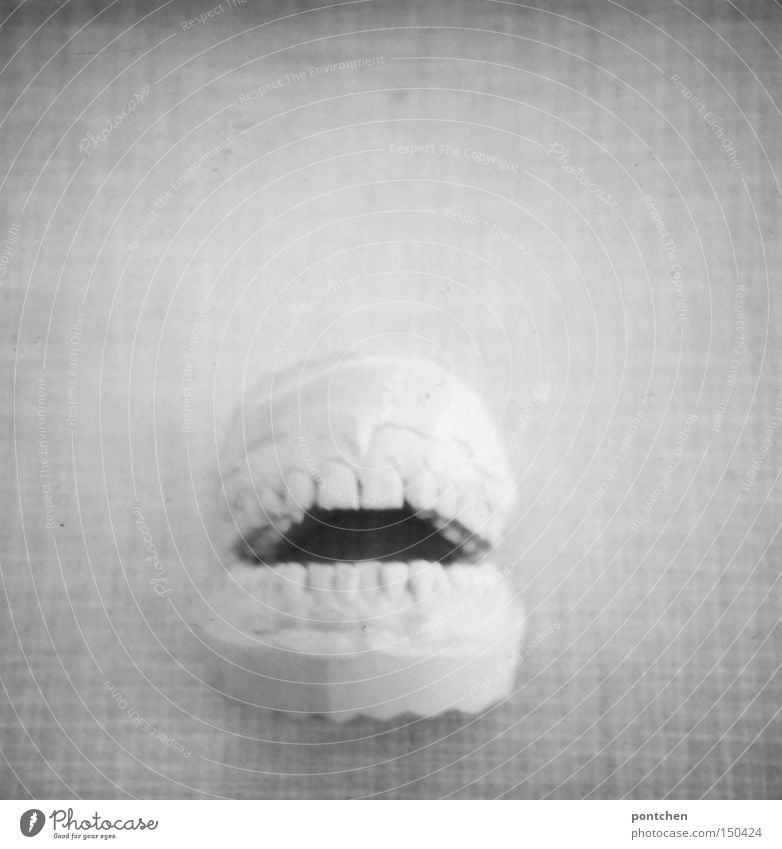 Gipsabdruck eines Gebisses. Zahngesundheit Polaroid Gesundheit Mensch Zähne lachen Zahnarzt beißen Kiefer bissig Abdruck zahngesundheit kieferorthopäde