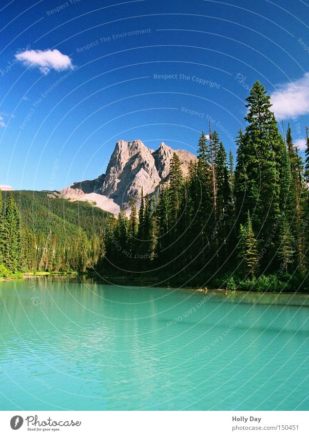 Der Smaragd-See Farbfoto mehrfarbig Außenaufnahme Menschenleer Tag Schatten Reflexion & Spiegelung Totale Berge u. Gebirge Himmel Wolken Baum blau grün Kanada