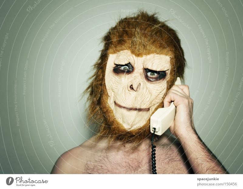 Vienna calling Affen Tier verkleiden Maske Telefon sprechen Telefongespräch Telefonhörer Freude Affengesicht Rufnummer Karneval