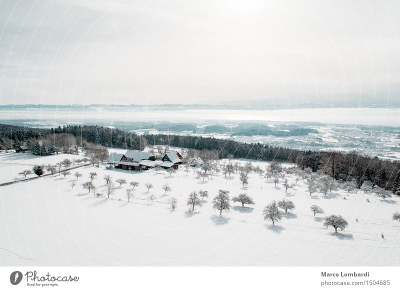 Winter in den Alpen Umwelt Natur Luft Himmel Sonne Klima Schönes Wetter Schnee Baum Hügel Berge u. Gebirge Dorf Menschenleer wandern blau türkis weiß Optimismus